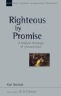 Image for Righteous by promise: a biblical theology of circumcision