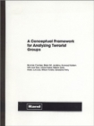 Image for Conceptual Framework Analyzing