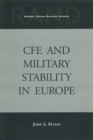 Image for CFE and Military Stability in Europe