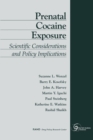 Image for Prenatal Cocaine Exposure : Scientific Considerations and Policy Implications
