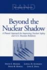 Image for Beyond the Nuclear Shadow