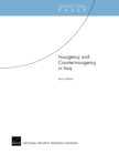 Image for Insurgency and Counterinsurgency in Iraq