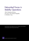 Image for Networked Forces in Stability Operations