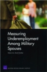 Image for Measuring Underemployment Among Military Spouses