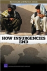 Image for How Insurgencies End