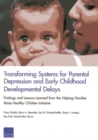 Image for Transforming Systems for Parental Depression and Early Childhood Developmental Delays