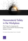 Image for Nanomaterial Safety in the Workplace