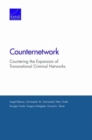 Image for Counternetwork : Countering the Expansion of Transnational Criminal Networks