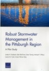 Image for Robust Stormwater Management in the Pittsburgh Region
