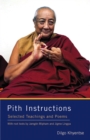 Image for Pith Instructions: Selected Teachings and Poems