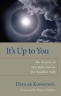 Image for It&#39;s up to you: the practice of self-reflection on the Buddhist path