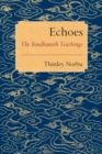 Image for Echoes: the Boudhanath teachings