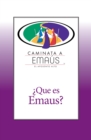 Image for Que es Emaus?: Caminata a Emaus