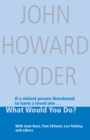 Image for What would you do?: a serious answer to a standard question