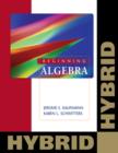 Image for Beginning Algebra: Hybrid