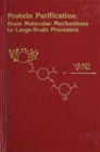 Image for Protein Purification : From Molecular Mechanisms to Large-Scale Processes