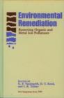 Image for Environmental Remediation : Removing Organic and Metal Ion Pollutants