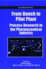 Image for From bench to pilot plant  : process research in the pharmaceutical industry