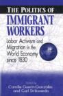 Image for The Politics of Immigrant Workers
