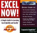 Image for Excel for Windows 95 Now!