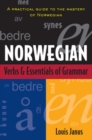 Image for Norwegian Verbs And Essentials of Grammar