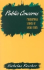 Image for Public Concerns : Philosophical Studies of Social Issues