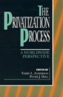 Image for The Privatization Process : A Worldwide Perspective