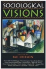 Image for Sociological Visions