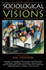 Image for Sociological Visions