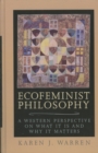 Image for Ecofeminist Philosophy