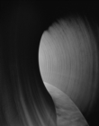 Image for Richard Serra 2014