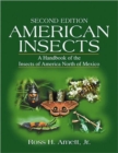 Image for American Insects : A Handbook of the Insects of America North of Mexico, Second Edition
