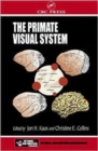 Image for The Primate Visual System