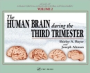 Image for The Human Brain During the Third Trimester