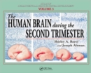 Image for The Human Brain During the Second Trimester