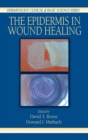 Image for The Epidermis in Wound Healing