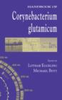 Image for Handbook of Corynebacterium glutamicum