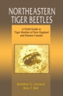 Image for Northeastern Tiger Beetles