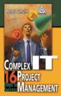 Image for Complex IT project management  : 16 steps to success