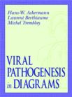 Image for Viral Pathogenesis in Diagrams