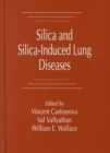 Image for Silica and Silica-Induced Lung Diseases