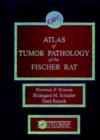 Image for Atlas of Tumour Pathology of the Fischer Rat
