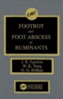 Image for Footrot and Foot Abscess of Ruminants