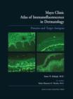 Image for Mayo Clinic atlas of immunofluorescence in dermatology  : patterns and target antigens