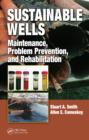 Image for Sustainable wells: maintenance, problem prevention, and rehabilitation