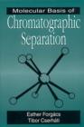Image for Molecular Basis of Chromatographic Separation