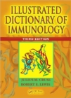 Image for Illustrated dictionary of immunology