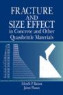 Image for Fracture and Size Effect in Concrete and Other Quasibrittle Materials