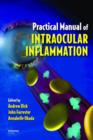 Image for Practical Manual of Intraocular Inflammation