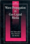 Image for Wave Propagation in Gas-Liquid Media